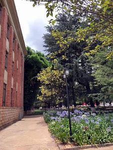 Kunming - Universite du Yunnan (52)